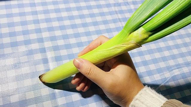 你们要的大葱蘸酱写字来了【写字的西瓜】 你们要的大葱蘸酱写字来了【写字的西瓜】