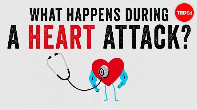 What happens during a heart attack? - krishna sudhir What happens during a heart attack? - krishna sudhir