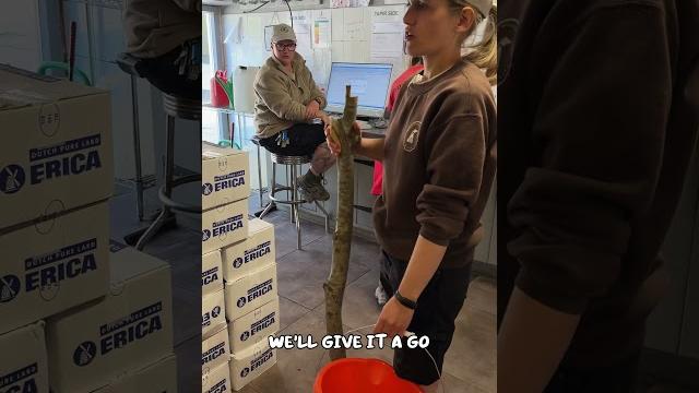 Enrichment challenge ep 1 Enrichment challenge ep 1