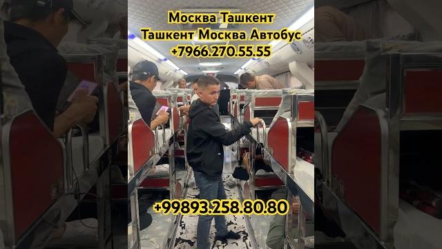 #москва #ташкент #автобус #ташкент #москва #автобус #2025shorts #прямой #рейс #шортс #казань #москва #ташкент #автобус #ташкент #москва #автобус #2025shorts #прямой #рейс #шортс #казань