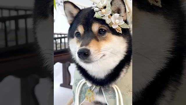 曼玉manyu沉浸式体验古色古香中式spa | 美颜暴击! 曼玉manyu沉浸式体验古色古香中式spa | 美颜暴击!