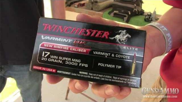 At the range: winchester .17 hmr vs .17 wsm At the range: winchester .17 hmr vs .17 wsm