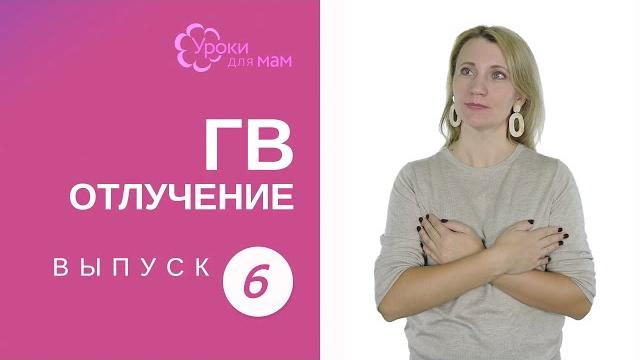 Нужно ли в 1 год кормить по требованию? Нужно ли в 1 год кормить по требованию?