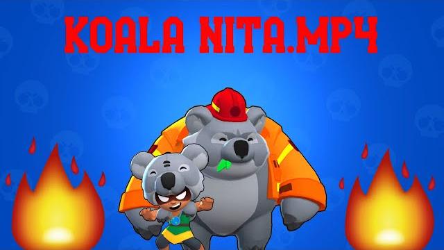 Koala nita.mp4 Koala nita.mp4