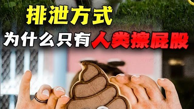 你知道嗎!排泄後只有人類擦屁股?為什麽動物卻不用?| 地球探险队 你知道嗎!排泄後只有人類擦屁股?為什麽動物卻不用?| 地球探险队