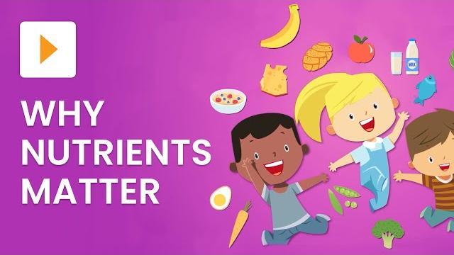 Food groups and nutrition Food groups and nutrition