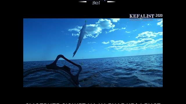 #shorts fishing, рыбалка, риболовля, pesca, balıqçılıq, 釣り, balık tutma, балық аулау, თევზჭერის #shorts fishing, рыбалка, риболовля, pesca, balıqçılıq, 釣り, balık tutma, балық аулау, თევზჭერის