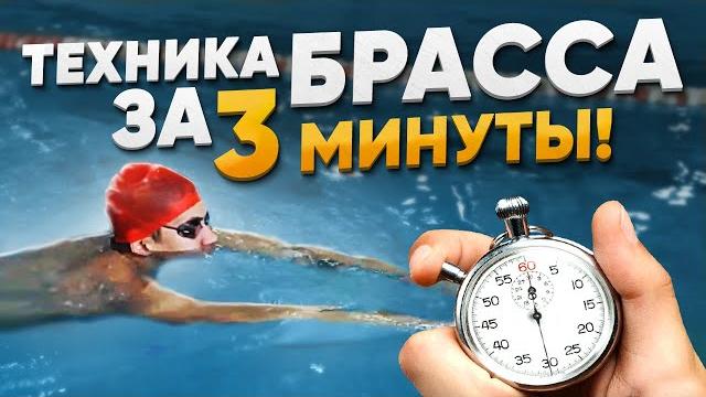 Как правильно плавать брассом? работа рук и ног в плавании брассом. топ ошибок брасса | swim rocket Как правильно плавать брассом? работа рук и ног в плавании брассом. топ ошибок брасса | swim rocket