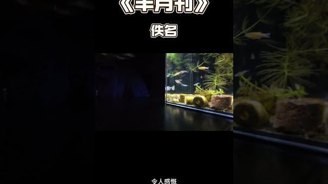 半月刊 佚名 半月刊 佚名