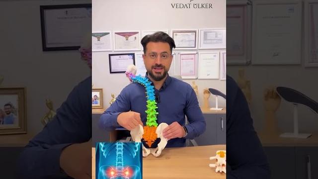 Bel ve kalça ağrısının nedenleri Bel ve kalça ağrısının nedenleri