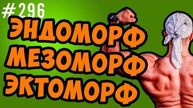 Типы телосложения. эктоморф, мезоморф , эндоморф Типы телосложения. эктоморф, мезоморф , эндоморф