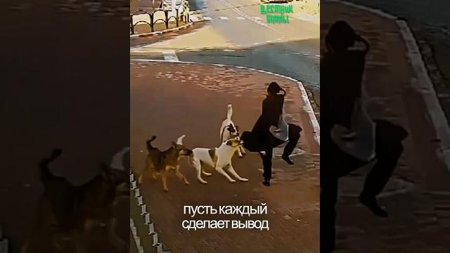 Момент, который говорит без слов… Момент, который говорит без слов…