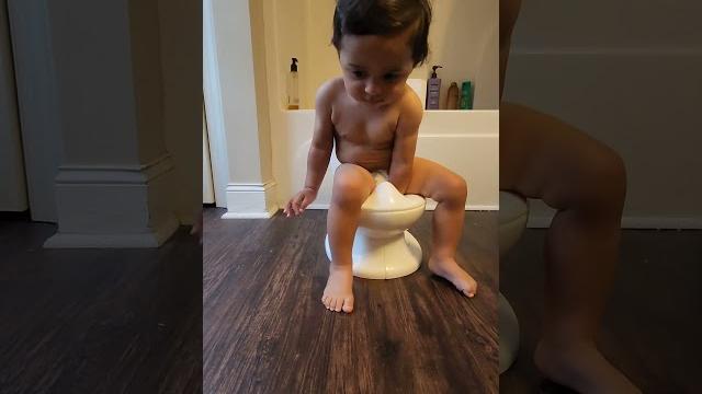 Gassy baby | potty training 101 the baby toilet Gassy baby | potty training 101 the baby toilet