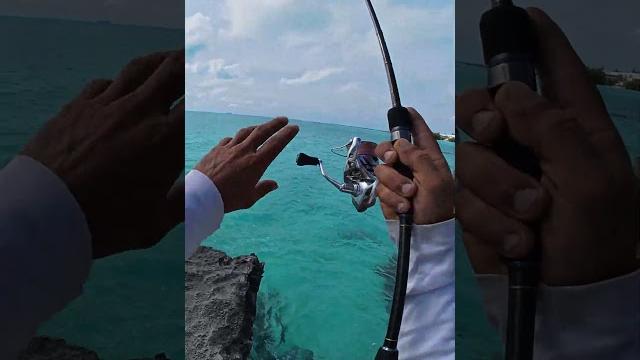 Unexpected first cast hookup! Unexpected first cast hookup!