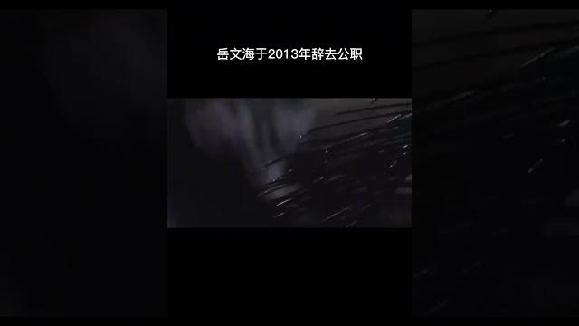 河南周口原“平坟市长”岳文海被查,已辞去公职10年 河南周口原“平坟市长”岳文海被查,已辞去公职10年