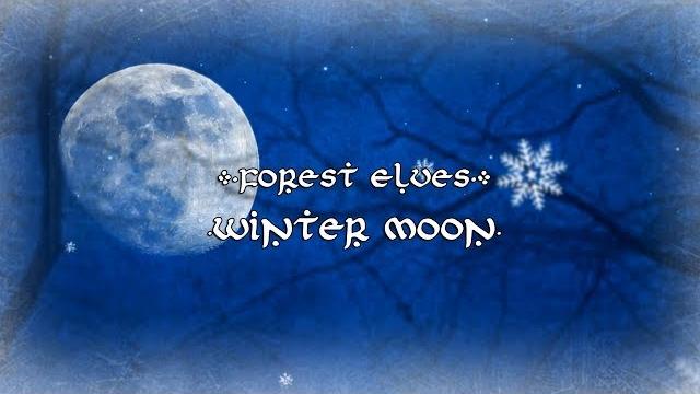 Forest elves - winter moon 【erutan cover】 Forest elves - winter moon 【erutan cover】