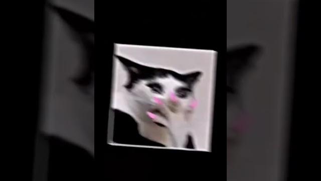 Pargoy punipun, keyes, gebian, funi, jesicca jane, cwe tiktok, uni, gabagtha,chika, felisa,babyzhark Pargoy punipun, keyes, gebian, funi, jesicca jane, cwe tiktok, uni, gabagtha,chika, felisa,babyzhark