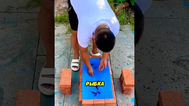 Новый аквариум для рыбок дочки Новый аквариум для рыбок дочки