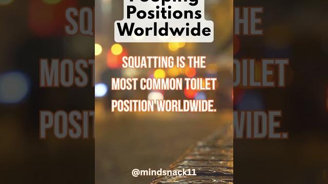 Squat or sit? how the world poops! #shorts Squat or sit? how the world poops! #shorts