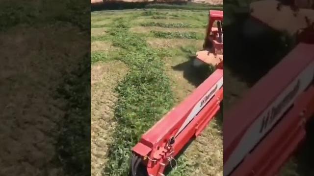 Прицепная дисковая косилка плющилка +79383462368 +79615487449 +79618405930 - fjb group llc Прицепная дисковая косилка плющилка +79383462368 +79615487449 +79618405930 - fjb group llc