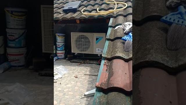 Bocah coli diatas dak rumah Bocah coli diatas dak rumah