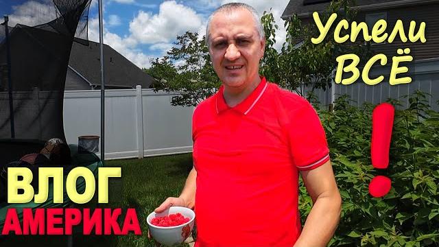 И распаковка, и закупка, и экскурсия) повесили находки из распаковок/ в шоке от нашего огорода И распаковка, и закупка, и экскурсия) повесили находки из распаковок/ в шоке от нашего огорода