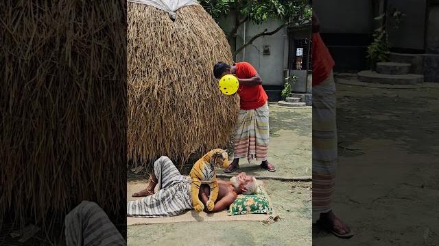 Sleeping grandpa vs. fake tiger – funniest prank ever! Sleeping grandpa vs. fake tiger – funniest prank ever!