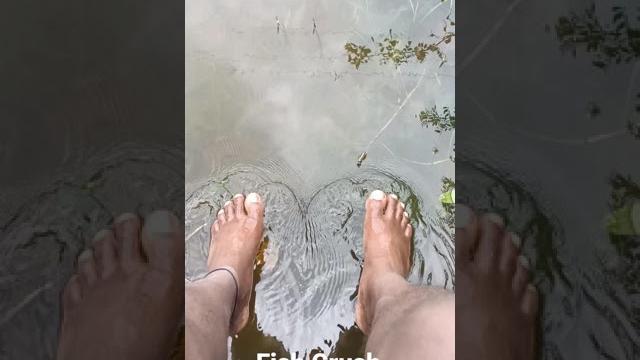 Fish crush Fish crush