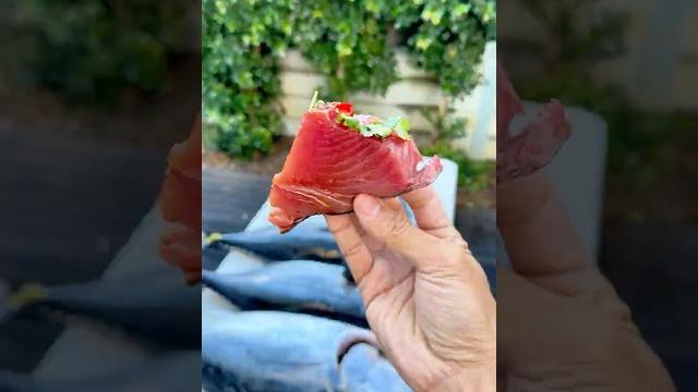 生腌蓝鳍金枪鱼自由的保姆级教程 生腌蓝鳍金枪鱼自由的保姆级教程