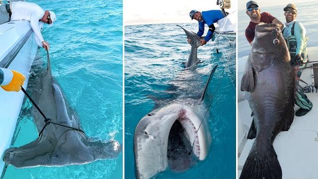Greatest fishing videos of all time Greatest fishing videos of all time