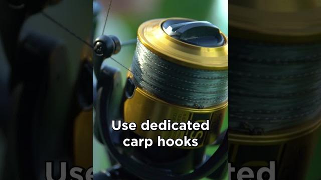 How to catch bigger carp pt 1 How to catch bigger carp pt 1