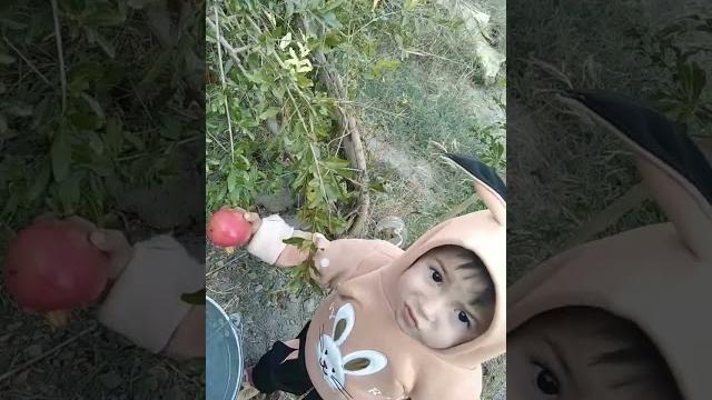 Metiska #cute #baby #metiska #shortsfeed #shortsyoutube #shortsbeta #shortsviral #shortvideo #rek Metiska #cute #baby #metiska #shortsfeed #shortsyoutube #shortsbeta #shortsviral #shortvideo #rek