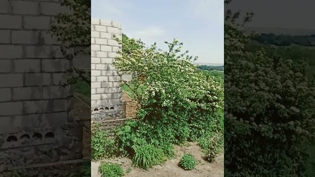Отличный тост друзья! Отличный тост друзья!