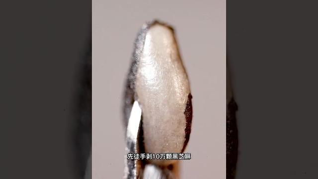 剝10萬黑芝麻做白色黑芝麻醬 #asmr #satisfying #food 剝10萬黑芝麻做白色黑芝麻醬 #asmr #satisfying #food