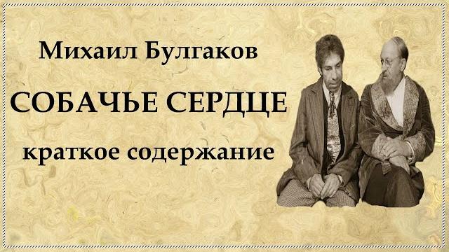 Собачье сердце краткое содержание по главам Собачье сердце краткое содержание по главам