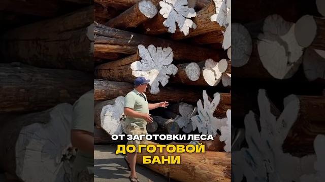 Этапы от заготовки леса до готовой бани! Этапы от заготовки леса до готовой бани!