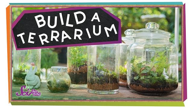 Build a tiny plant world! | science project for kids Build a tiny plant world! | science project for kids