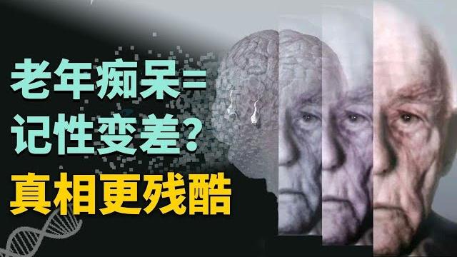 性情大變、失能失禁?除了失憶,得了阿茲海默還會經歷什麼【叮叮貓不咬人】 性情大變、失能失禁?除了失憶,得了阿茲海默還會經歷什麼【叮叮貓不咬人】
