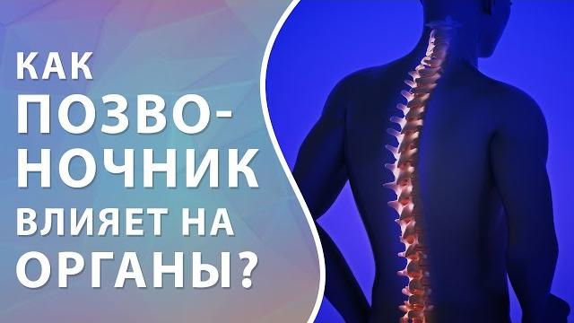 Позвоночник и органы. какие органы могут страдать от нарушений в позвоночнике // #zdravclinic Позвоночник и органы. какие органы могут страдать от нарушений в позвоночнике // #zdravclinic