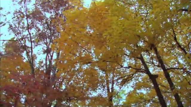 Turkish instrumental music... Turkish instrumental music...