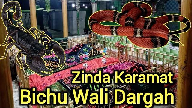 Zinda karamat | bichu wali dargah | amroha sharif dargah | hazrat shahe wilayat sharfuddin #shorts Zinda karamat | bichu wali dargah | amroha sharif dargah | hazrat shahe wilayat sharfuddin #shorts