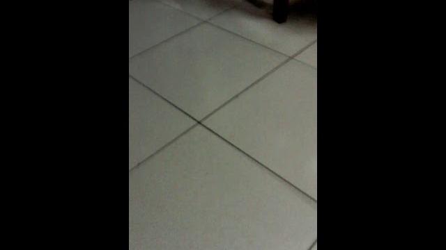 No looking at this vid No looking at this vid