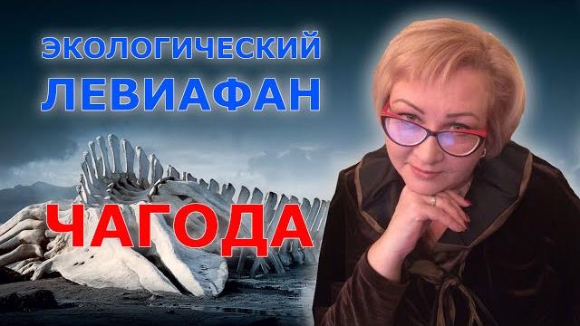 Чагода: экологический левиафан Чагода: экологический левиафан