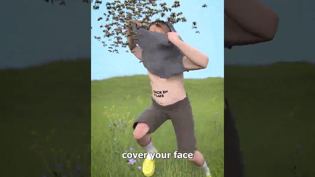 How to survive a swarm of bees How to survive a swarm of bees