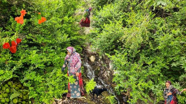 Nomadic life: finding a fruit tree by a nomadic girl | nomadic girl’s adventure and cooking️ Nomadic life: finding a fruit tree by a nomadic girl | nomadic girl’s adventure and cooking️