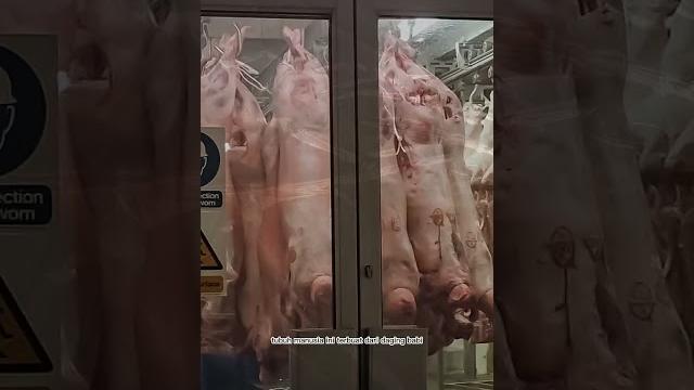 Terungkap! pasar ini menjual daging manusia! Terungkap! pasar ini menjual daging manusia!