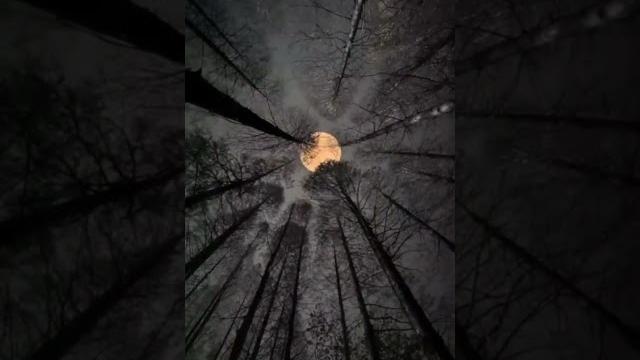 Gif video #viralvideo #shortvideos Gif video #viralvideo #shortvideos