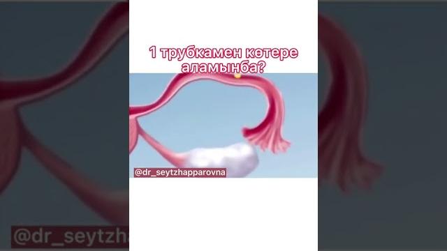 1 трубкамен көтере аламынба? 1 трубкамен көтере аламынба?