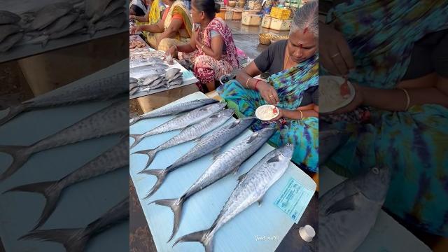 Kasimedu market meenu maa️ king fish #kasimedu #fishingvideo #fish Kasimedu market meenu maa️ king fish #kasimedu #fishingvideo #fish