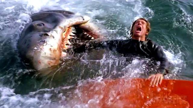 All the best shark attacks from jaws 4k All the best shark attacks from jaws 4k